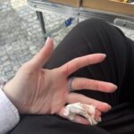 300 вінницьких дітлахів побачили в ляльковому театрі новорічну виставу
