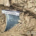 Мавпа зробила селфі з туристами (ФОТО)