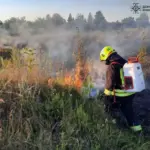 Скільки пожеж спалахнуло на території Вінниччини минулої доби?