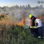 Горіло у всіх районах області та у місті: на Вінниччині спалахнуло 13 пожеж