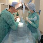 Тварини, які стали символами у світових війнах: неймовірні історії про чотирилапих військових