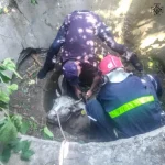 На Вінниччині палали житлові будинки та авто (фото)