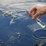 У понад 17% водойм в Україні вміст кишкової палички перевищує норму