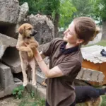 На Вінниччині цуценя застрягло під бетонними плитами: подробиці історії