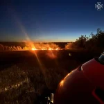 На Вінниччині через пожежу вщент згоріло 25 бджолиних вуликів