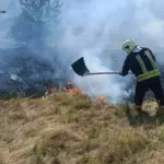 Вогонь обпалив понад 28 га ґрунту: на Вінниччині за добу спалахнуло 39 пожеж