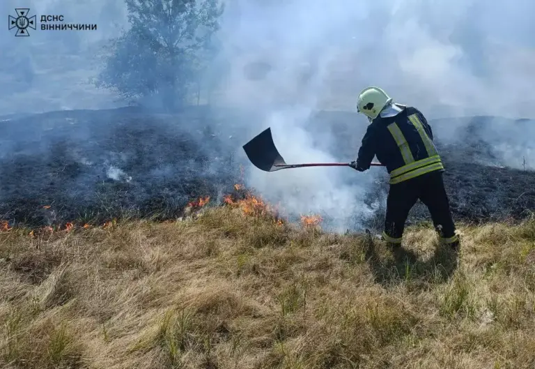Вогонь обпалив понад 28 га ґрунту: на Вінниччині за добу спалахнуло 39 пожеж
