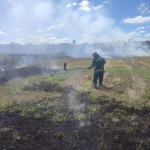 Минулої доби спалахнуло 9 пожеж в екосистемах Вінниччини: причина
