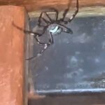 Вінницька громада вшановує пам’ять воїна Володимира Бондаренка в другі роковини його загибелі