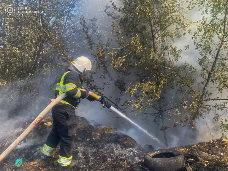 Горіло на площі понад 14 га: минулої доби рятувальники на Вінниччині погасили 24 пожежі