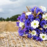 Горіло сміття та житлові будинки: які наслідки пожеж на Вінниччині