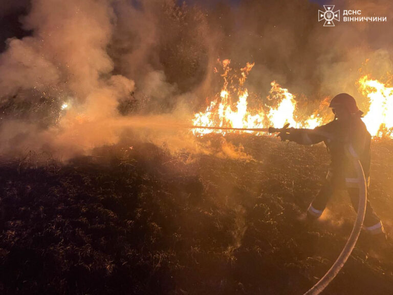 Рятувальники за добу ліквідували понад 25 пожеж на Вінниччині: основні причини