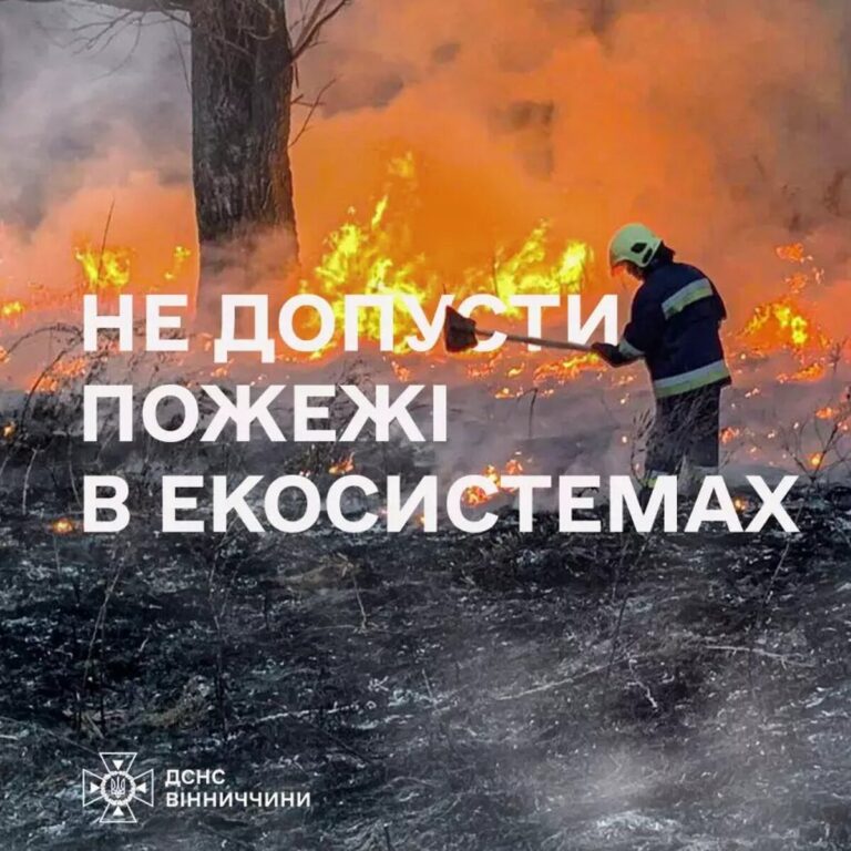 Рятувальники Вінниччини ліквідували 22 пожежі
