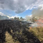Горіло у всіх районах області: на Вінниччині за добу погасили 31 пожежу