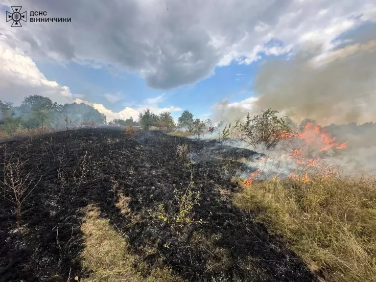 Горіло у всіх районах області: на Вінниччині за добу погасили 31 пожежу