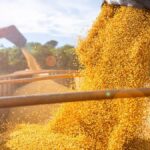 На Вінниччині намолочено майже 1,9 млн тонн зерн