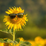 изображение_2024-08-02_085710559