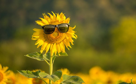 изображение_2024-08-02_085710559