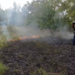 25 пожеж спалахнуло на Вінниччині за минулу добу: причини
