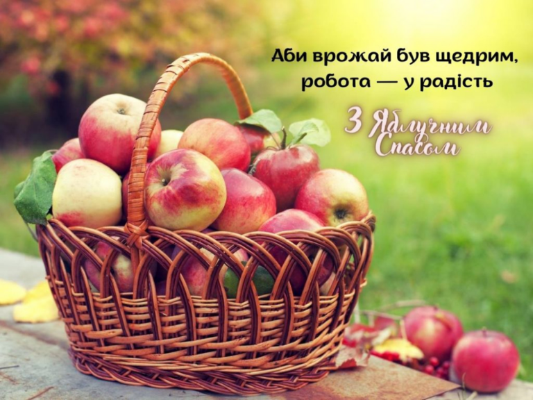 изображение_2024-08-05_232623115