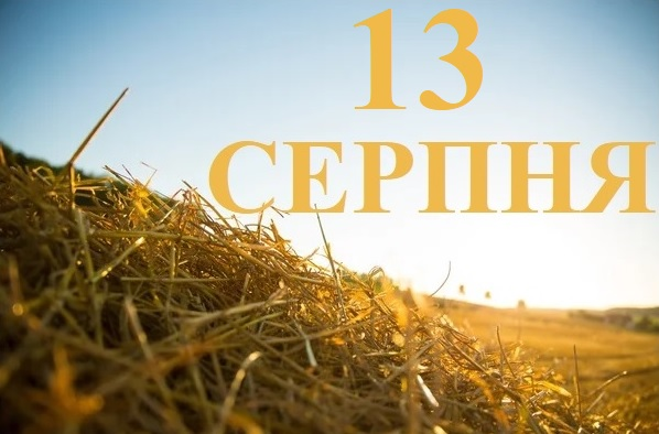 изображение_2024-08-12_171508443