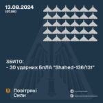 изображение_2024-08-13_074721513