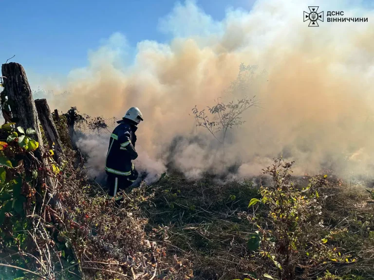 Рятувальники бють на сполох: на Вінниччині спалахнуло 70 пожеж