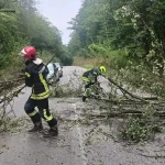 Наслідки негоди на Вінниччині: надзвичайники ліквідували повалені дерева та металеві конструкції (фото)