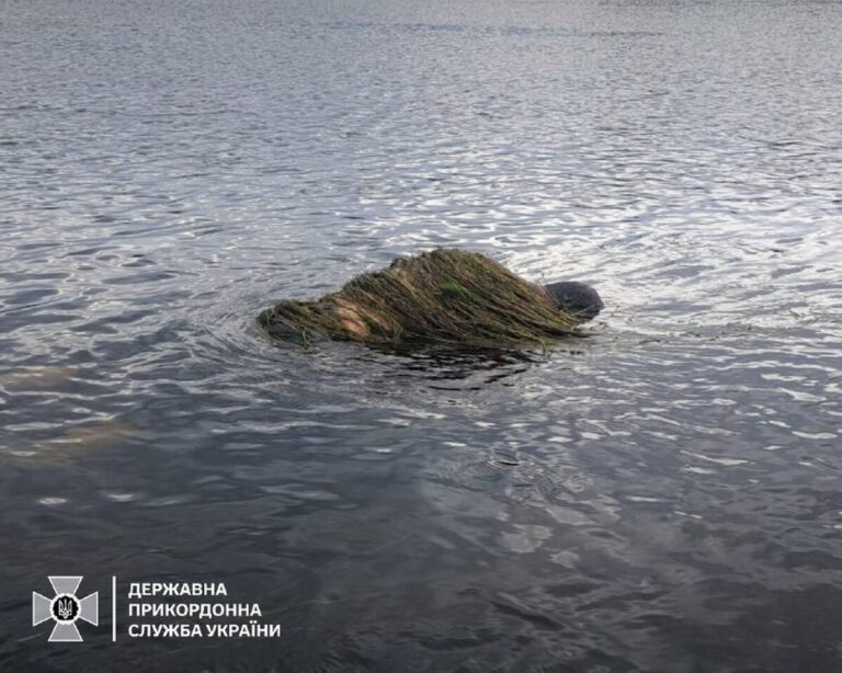 У Дністрі виявили обвите водоростями тіло потопельника