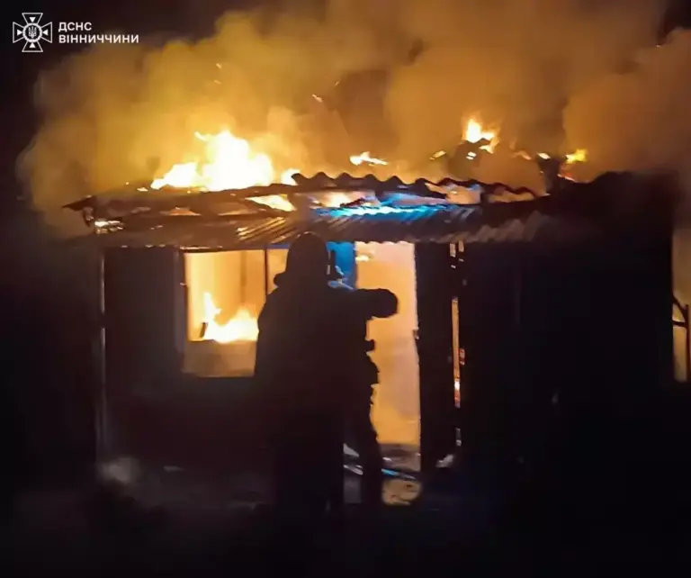 Через дитячі пустощі на Вінниччині загорілась господарча будівля