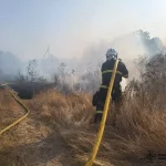 Горіло у всіх районах області та місті Вінниці: рятувальники погасили 32 пожежі