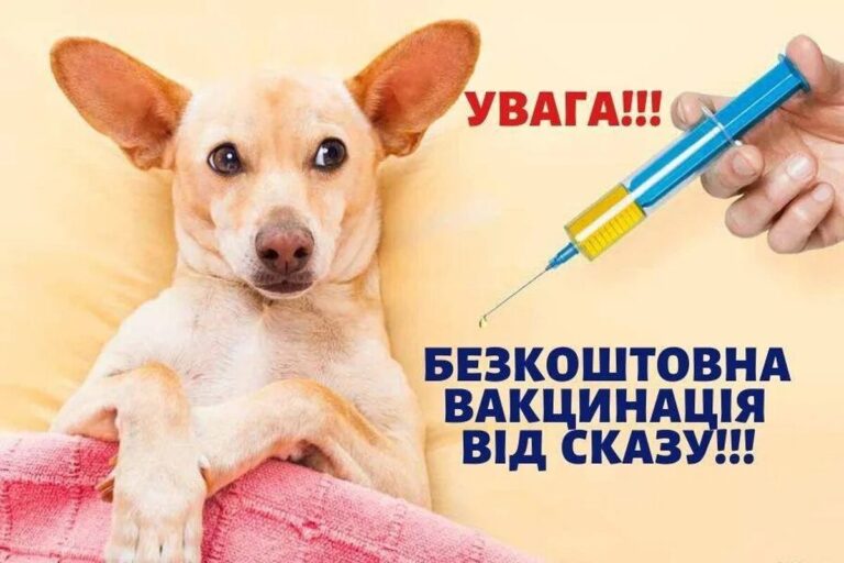 На Вінниччині безкоштовно вакцинуватимуть домашніх тварин від сказу