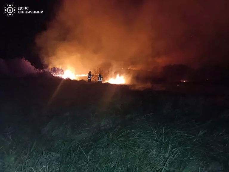 На Вінниччині через дитячі пустощі загорілась господарча будівля