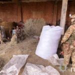 Під прикриттям «даху»: на Вінниччині затримали групу «чорних лісорубів»