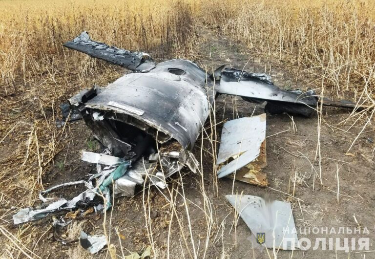 У полі на Вінниччині знешкодили російську ракету Х-101 (відео)