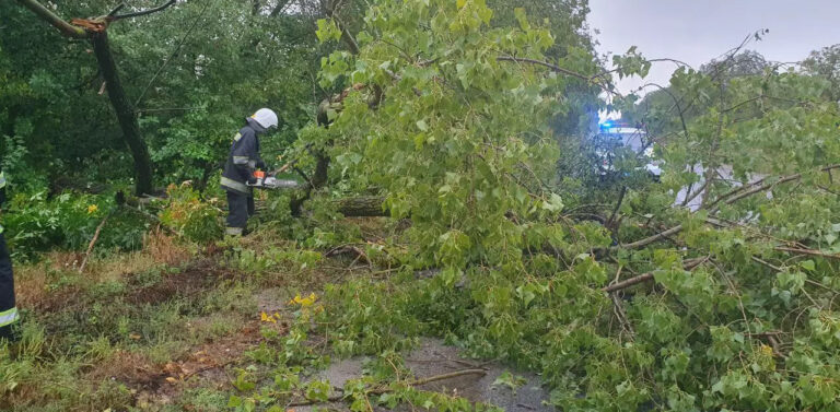Повалені дерева, зірвані балкони та пошкоджені авто: наслідки негоди у Вінниці (фото та відео)
