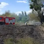 Згорів дах будинку, дві тонни сіна та домашні речі: на Вінниччині спалахнуло 25 пожеж