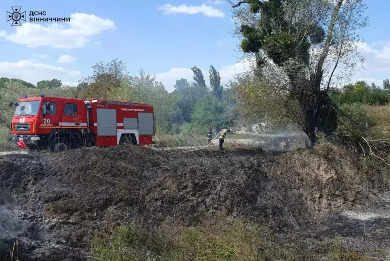 Згорів дах будинку, дві тонни сіна та домашні речі: на Вінниччині спалахнуло 25 пожеж
