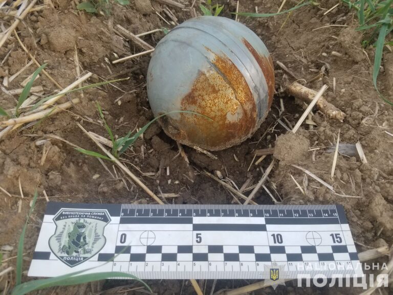 В полі на Вінниччині впали залишки збитої ракети Х-101 (фото та відео)
