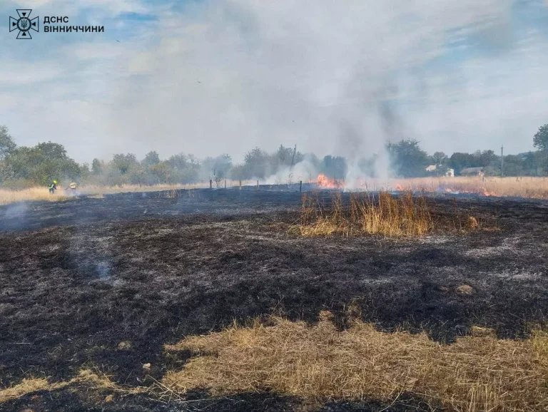 Горіли гараж, електроприлади та шифер: на Вінниччині рятувальники погасили 43 пожежі
