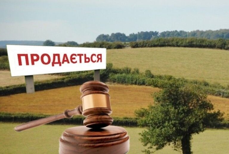 У Вінниці на продаж виставили земельну ділянку: коли та як відбудеться аукціон