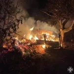 Вогонь знищив 5 центнерів сіна: на Вінниччині спалахнуло 17 пожеж