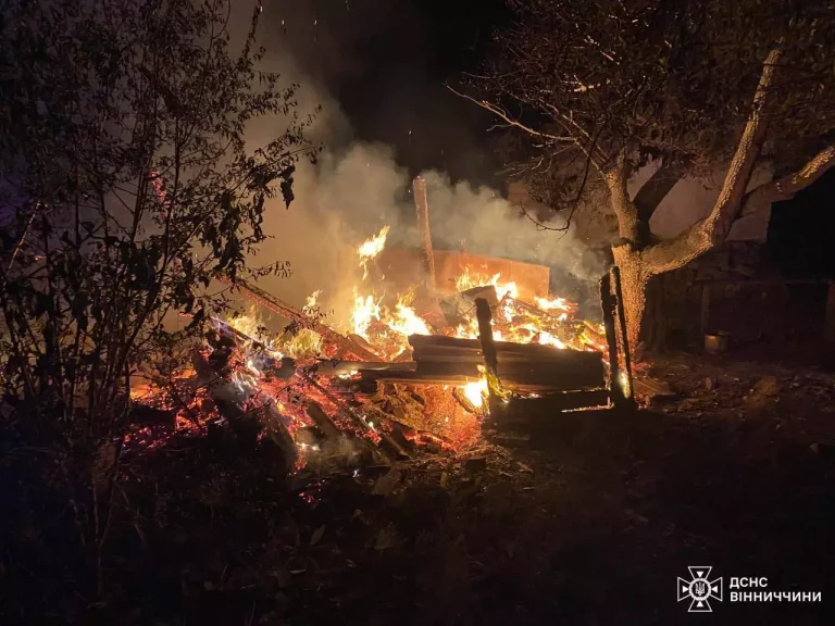 Вогонь знищив 5 центнерів сіна: на Вінниччині спалахнуло 17 пожеж