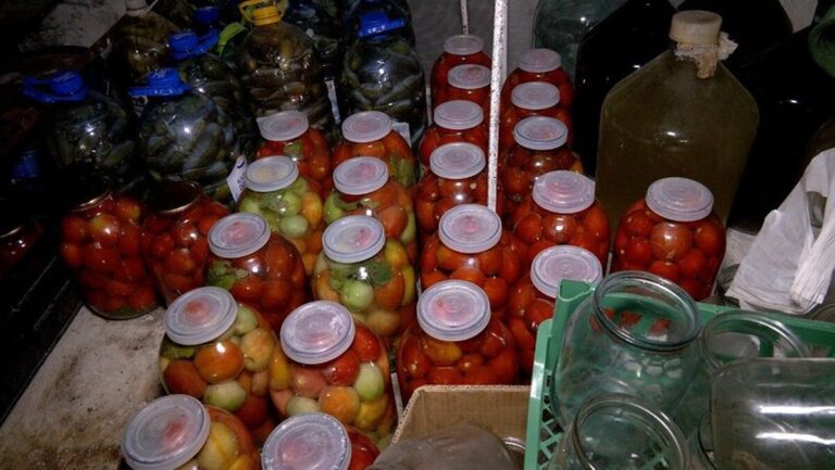 Господині з Вінниччини наконсервували 800 банок овочів для Захисників