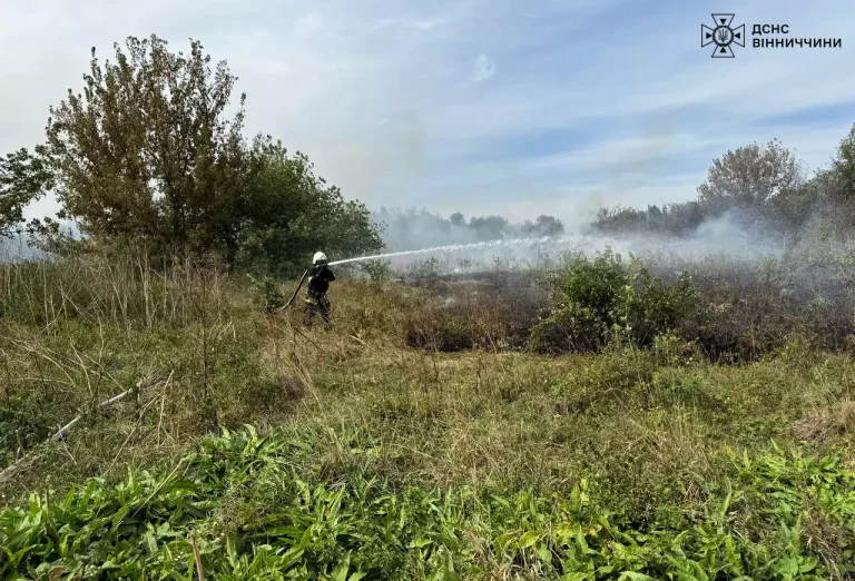 За добу у Вінницькій області спалахнуло 18 пожеж