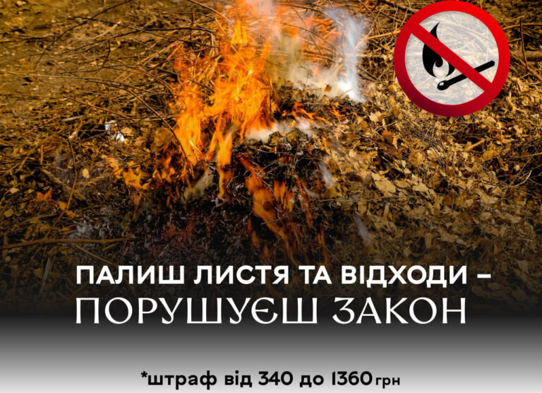 Палиш листя порушуєш закон: вінничанам нагадують про заборону спалювання сухої рослинності