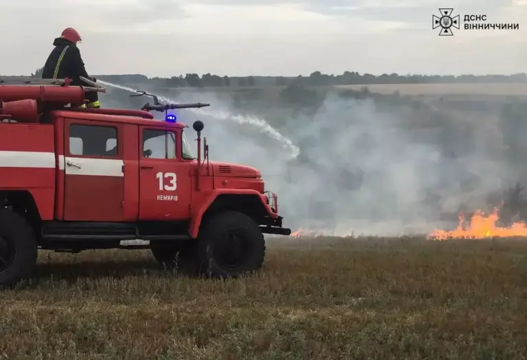 Скільки пожеж спалахнуло у Вінницькій області минулої доби?