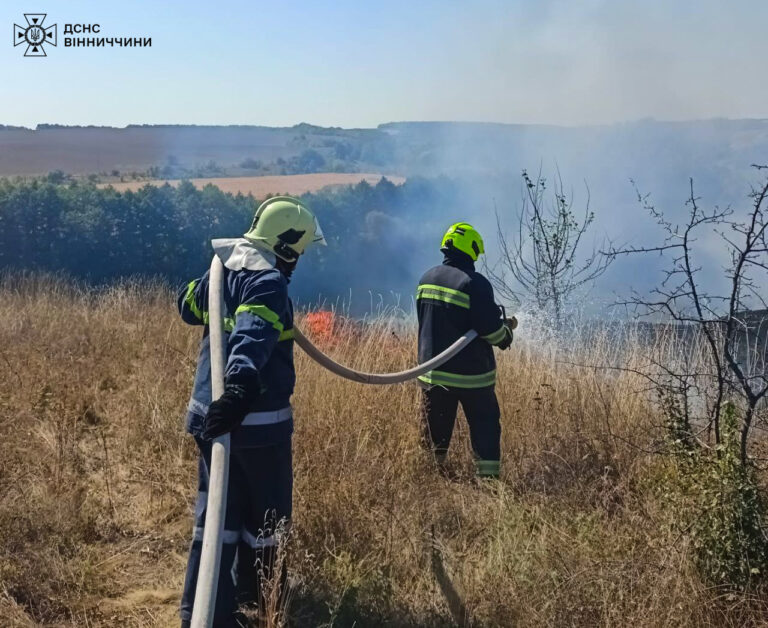 Ігнорування правил безпеки: в області згоріло 47 гектарів екосистем