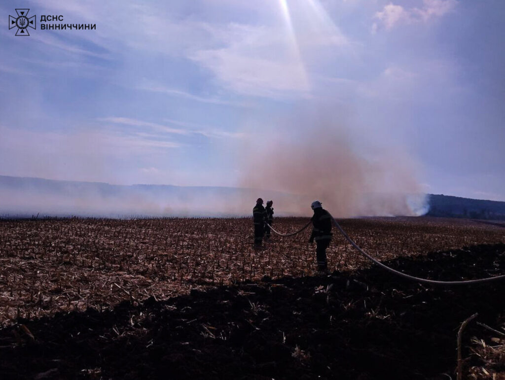 11 пожеж сталося на Вінниччині за добу: що горіло