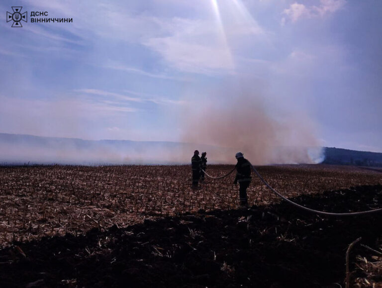 11 пожеж сталося на Вінниччині за добу: що горіло